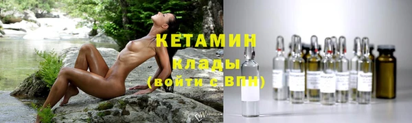 индика Нягань