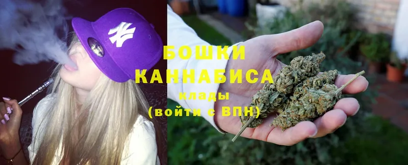 Бошки марихуана гибрид  как найти наркотики  Игра 